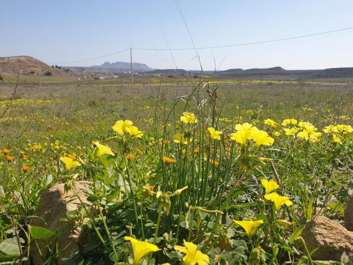 El Molino De Arriba Villa Nijar Bagian luar foto