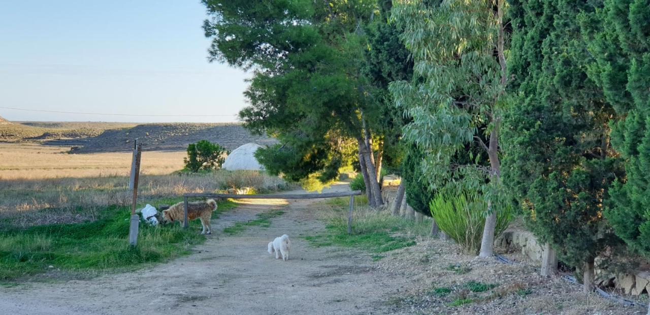 El Molino De Arriba Villa Nijar Bagian luar foto