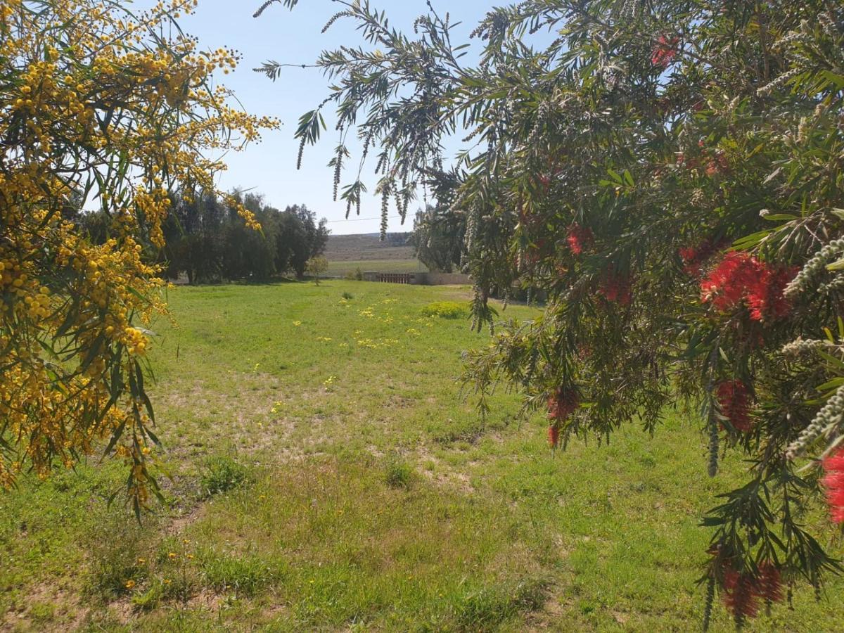 El Molino De Arriba Villa Nijar Bagian luar foto