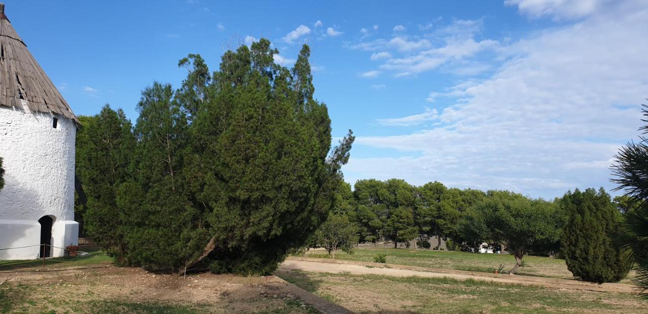 El Molino De Arriba Villa Nijar Bagian luar foto