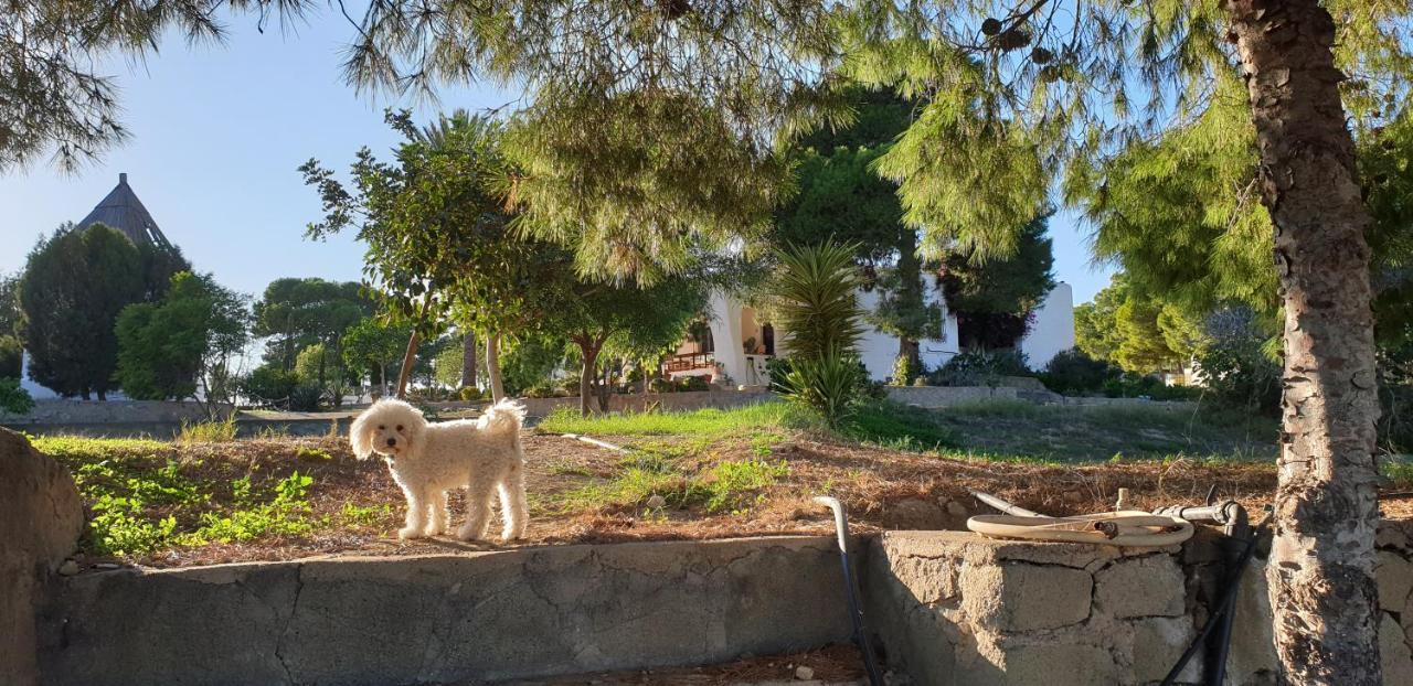 El Molino De Arriba Villa Nijar Bagian luar foto
